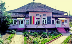 imagine primăria