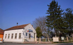 imagine primăria