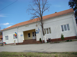 imagine primăria